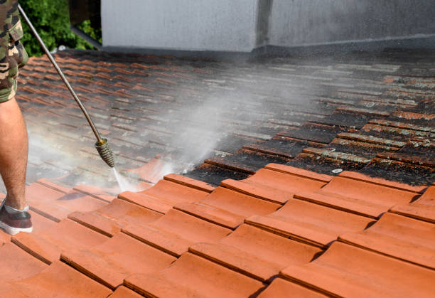 Best Roof Power Washing Services  in Resaca, GA